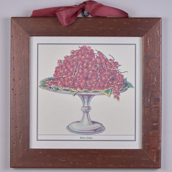 Quadri stampa serie Alzate Frutta - Dolfi