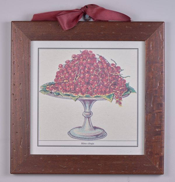 Quadri stampa serie Alzate Frutta - Dolfi