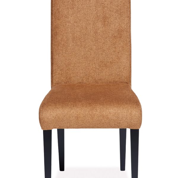 sedia Mod. Ricciolo  - Friulsedie